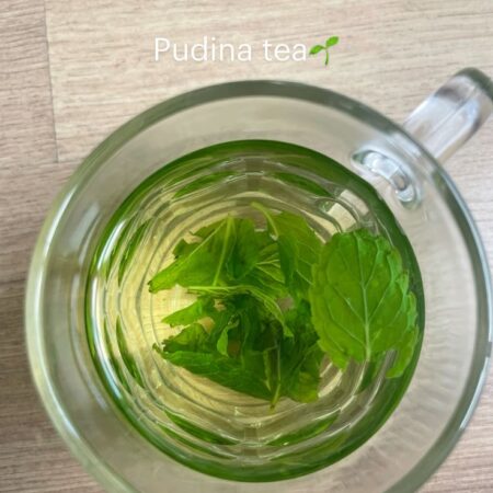 Nathdwara Pudina Tea